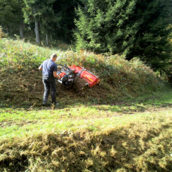 Steilhangmäher Mulcher 3