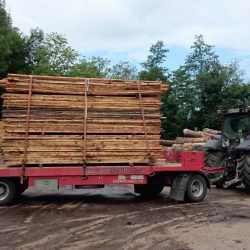 Holzarbeit . Holztransporte (1)