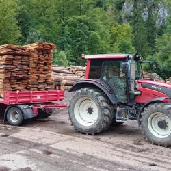 Holzarbeit . Holztransporte (2)