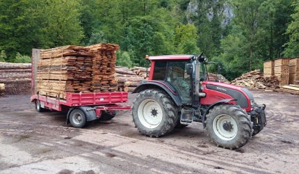 Holzarbeit . Holztransporte (2)