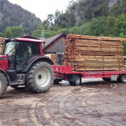 Holzarbeit . Holztransporte (3)