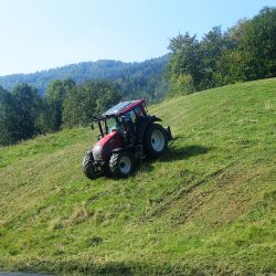 Mäharbeiten Erdbau Pölzleitner (2)