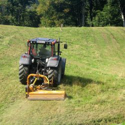 Mäharbeiten Erdbau Pölzleitner (3)