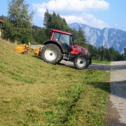 Mäharbeiten Erdbau Pölzleitner (4)