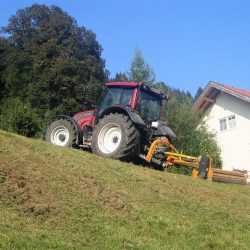 Mäharbeiten Erdbau Pölzleitner (5)